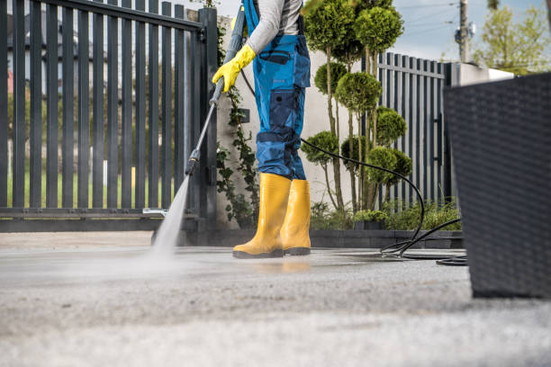 Best Fence Cleaning  in Marshall, IL