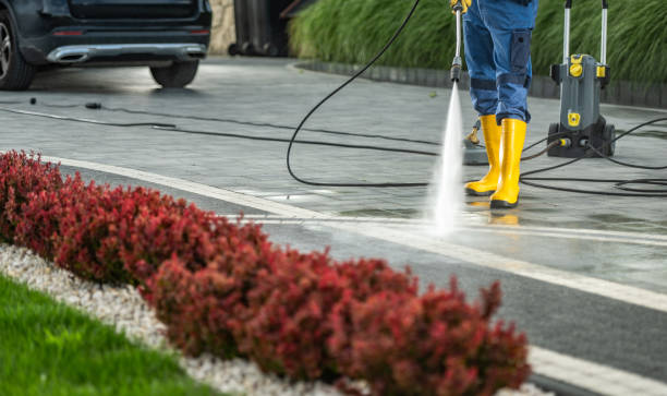 Best Animal Enclosure Cleaning  in Marshall, IL
